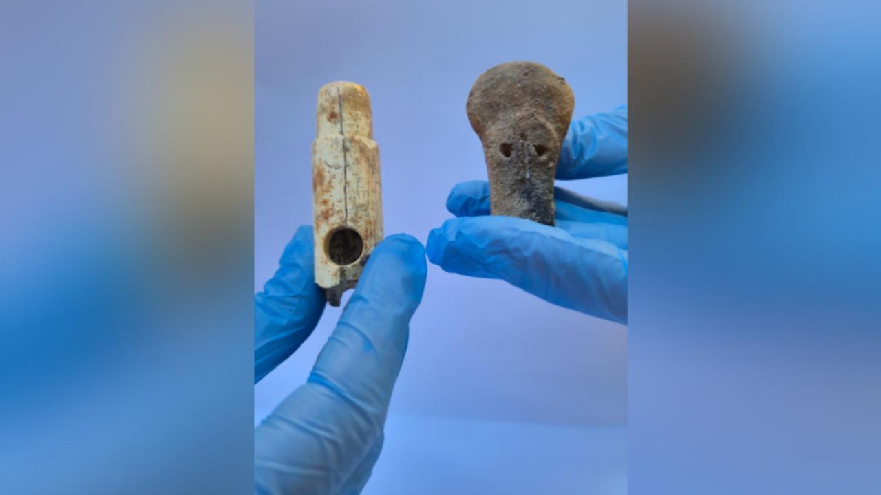 Troya kemik flüt keşfi: 2.800 yıllık en eski müzik aleti ortaya çıktı